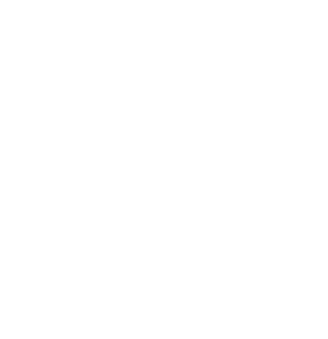 Liberty Abroad Consultancy